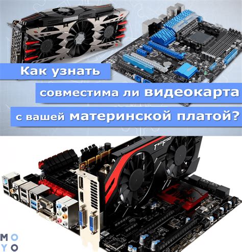 Видеокарты для материнской платы: что выбрать?