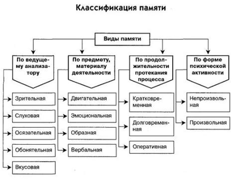 Виды воспоминаний: от эпизодической до процедурной памяти