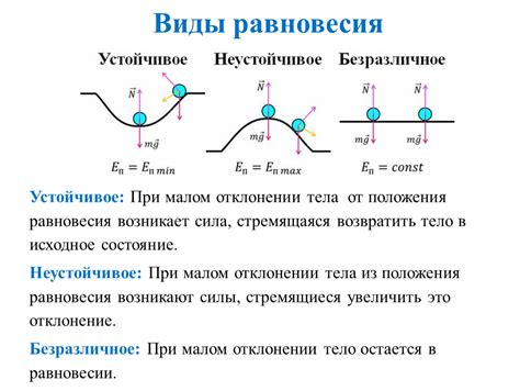 Виды равновесия тела и их особенности