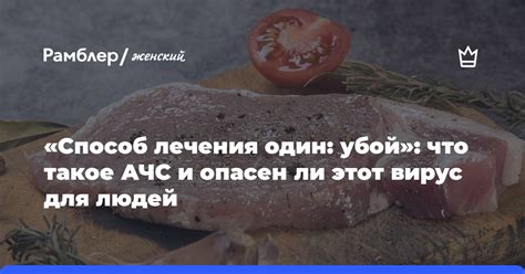 Вирус АЧС: что вам нужно знать