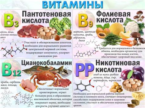 Витамины и кровь: основная информация