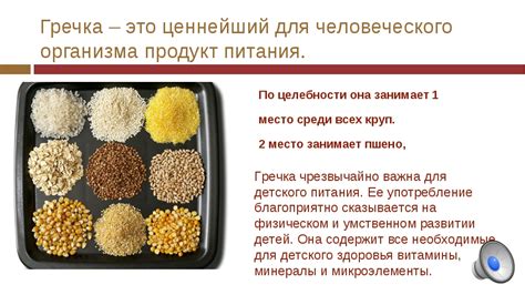 Витамины и минералы, содержащиеся в гречке и рисе