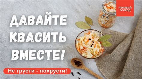 Витамины и минералы в квашеной капусте