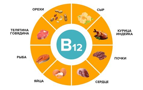 Витамин В12: содержится ли он в меде?