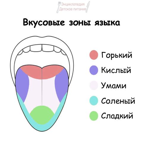 Вкусовые ощущения