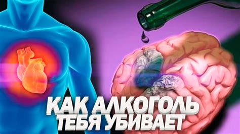 Влияние алкоголя на заживление