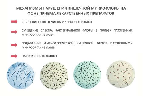 Влияние антибиотиков на кишечную микрофлору