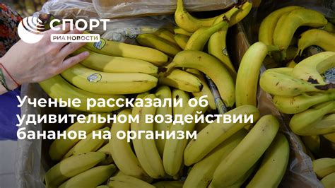 Влияние бананов на организм