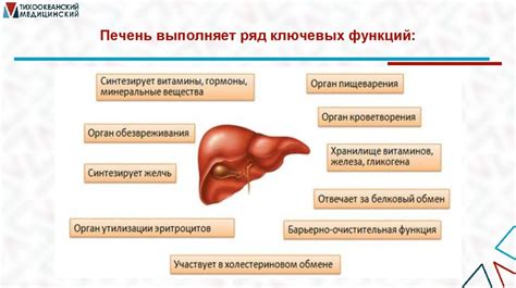 Влияние вареников на подагру: миф или реальность?