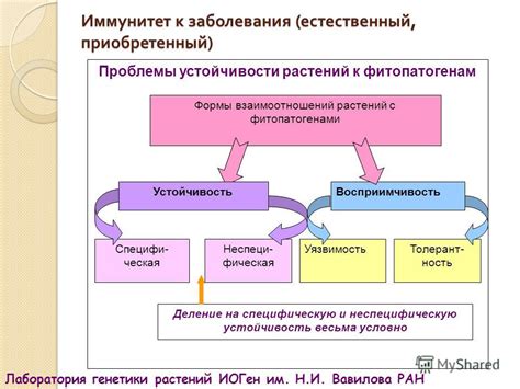 Влияние внешних факторов на состояние нейронов