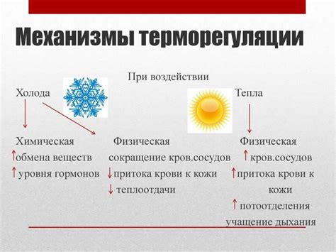 Влияние высокой температуры на процесс продувки