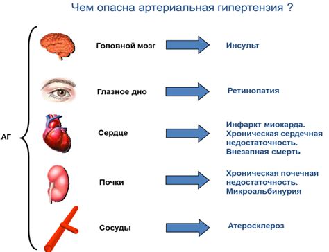 Влияние гипертензии на организм