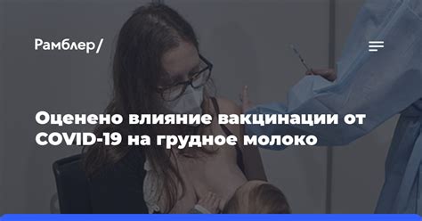 Влияние грибного супа на грудное молоко