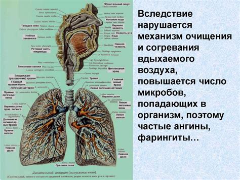 Влияние дыма на работу системы