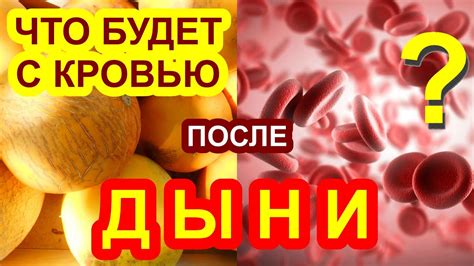 Влияние дыни на кровь и анализы