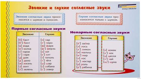 Влияние звуков на написание слова