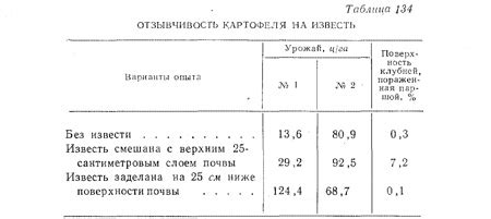 Влияние извести на дальнейшее беличье поверхности