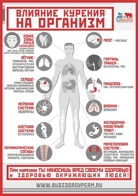 Влияние курения на организм