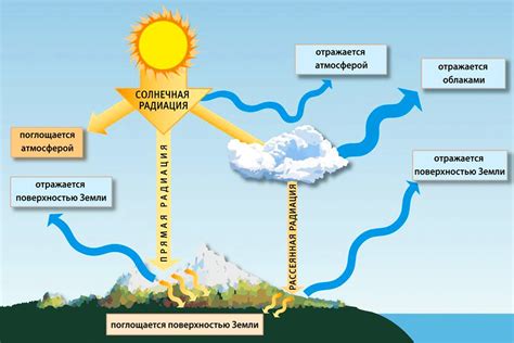 Влияние лавра на атмосферу помещения