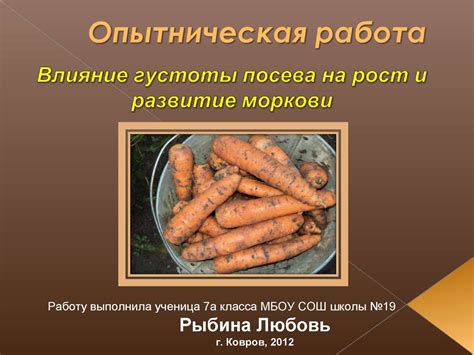 Влияние моркови на рост малыша