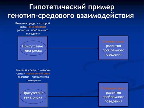 Влияние наследственности на физические характеристики