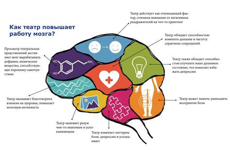 Влияние на концентрацию и работу мозга