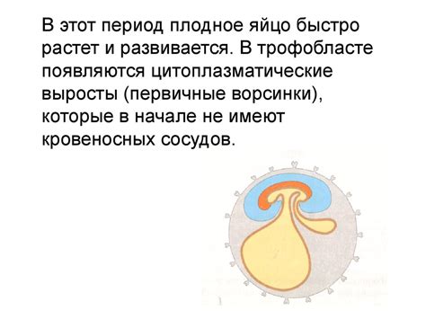 Влияние окружающей среды на скорость развития опухолевого процесса