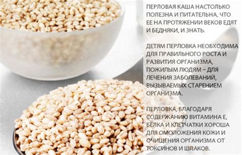 Влияние перловой крупы на производительность кур