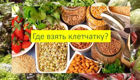 Влияние питья клетчатки на сон и общее самочувствие