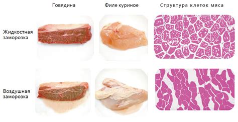 Влияние повторной заморозки на качество субпродуктов: ответ и доводы