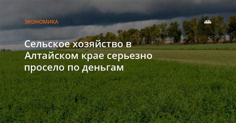 Влияние погодных изменений в Алтайском крае на сельское хозяйство