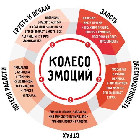 Влияние привязанности и эмоций на здоровье собаки