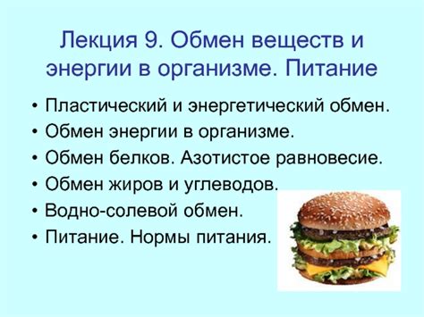 Влияние расплавленного сыра на обмен веществ в организме