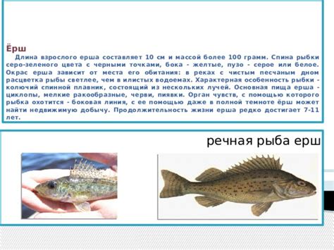 Влияние речной рыбы с черными точками на здоровье