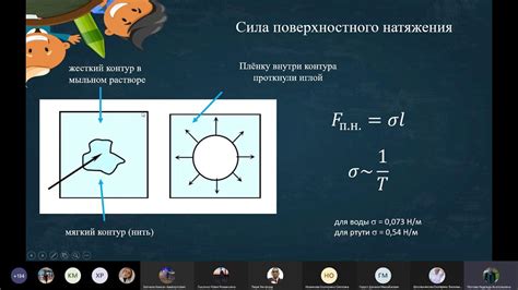 Влияние роста на гидродинамику тела