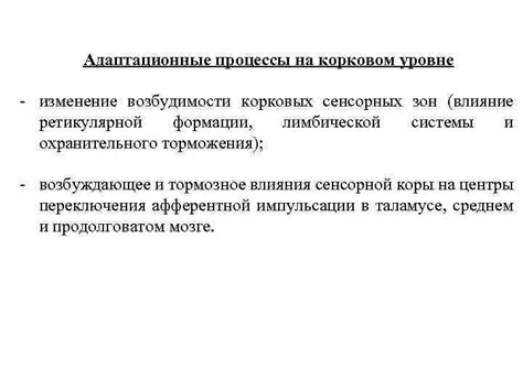 Влияние сенсорных систем на работу кратковременной памяти