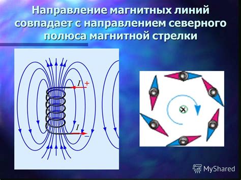 Влияние соседних магнитов на динамики