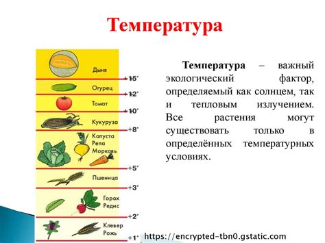 Влияние температуры на купание