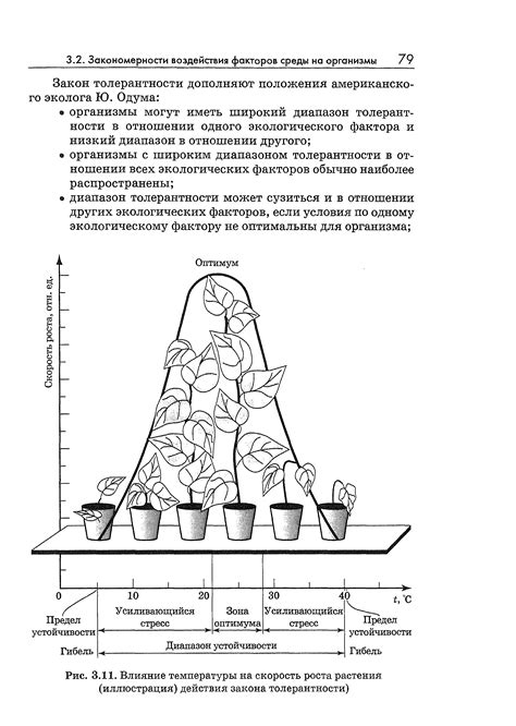 Влияние температуры на прививочный процесс