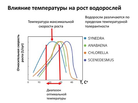 Влияние температуры на проявление фазмофобии