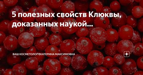 Влияние температуры на сохранение свойств клюквы