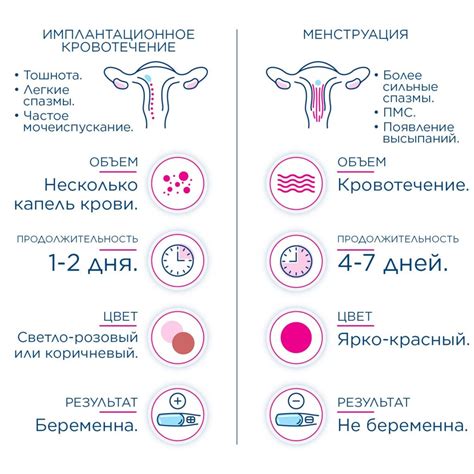 Влияние употребления красной щетки во время месячных