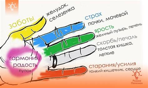 Влияние формы пальцев на здоровье и походку