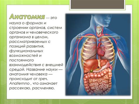 Внутренние симптомы