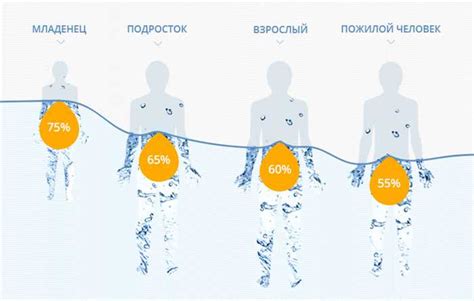 Вода и организм: польза и вред недостатка