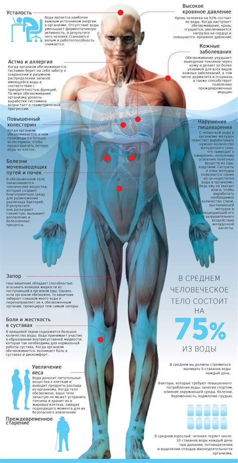 Вода и равновесие в организме