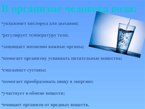 Вода увлажняет организм и контролирует аппетит