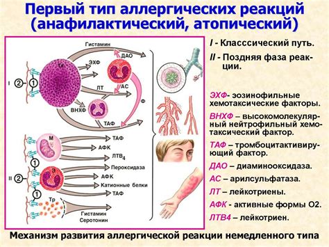 Воздействие аллергических реакций на население