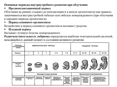 Воздействие на плод