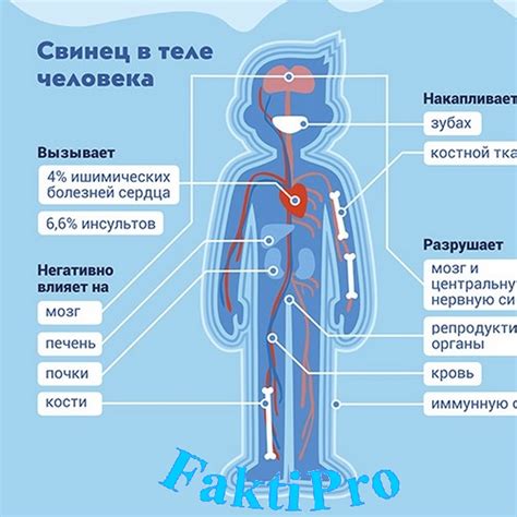 Воздействие на свинец при контакте с расплавленным веществом